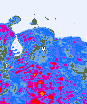 Валежи