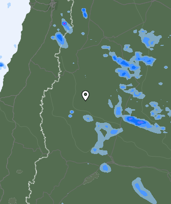 Валежи