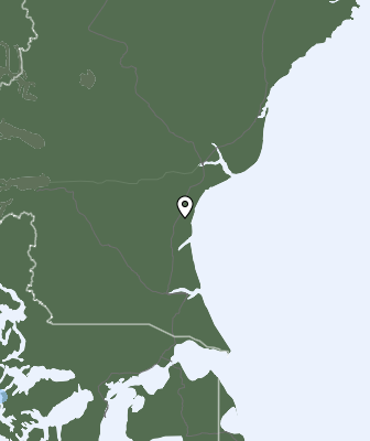 Nedbør