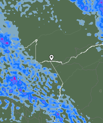 Валежи