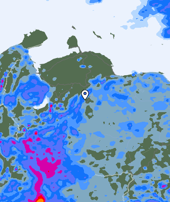 Валежи