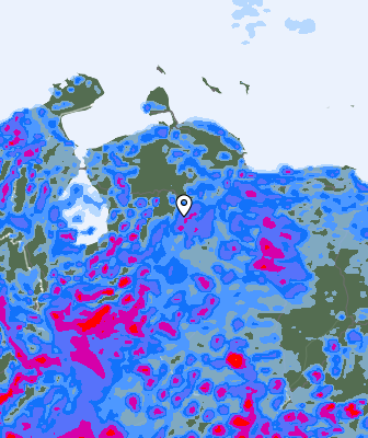 Валежи