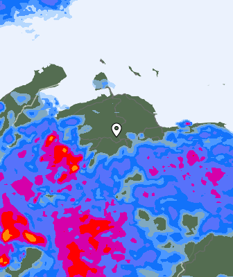Niederschlagsprognose