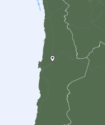 Niederschlagsprognose