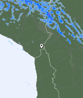 Niederschlagsprognose
