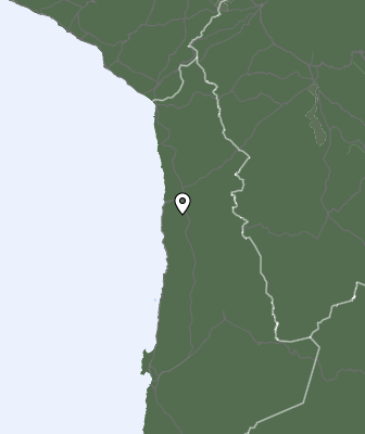 Niederschlagsprognose