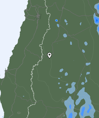 Валежи