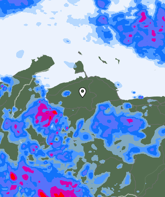 Валежи