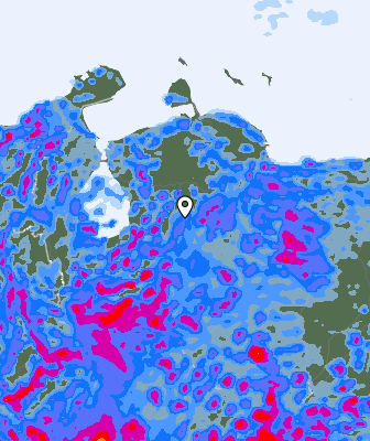 Валежи