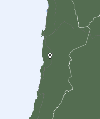 Niederschlagsprognose