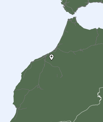Neerslag