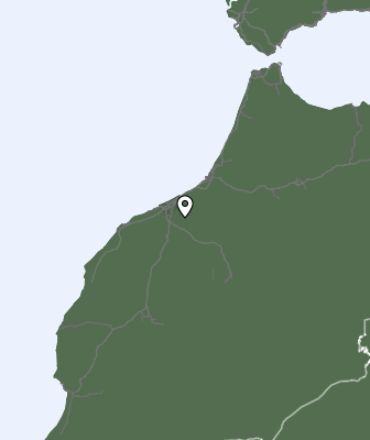 Nedbør