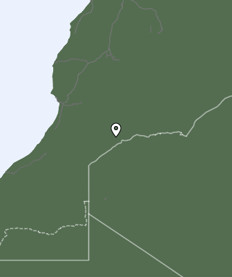 Niederschlagsprognose