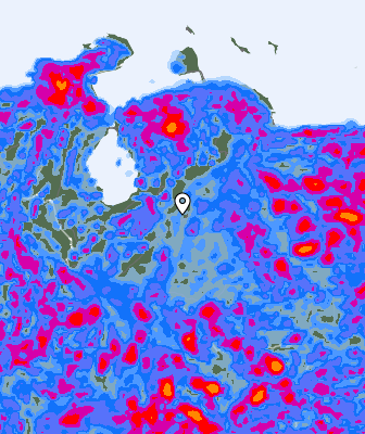 Валежи
