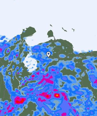 Валежи