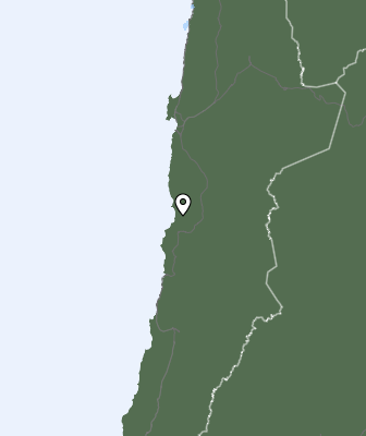 Niederschlagsprognose
