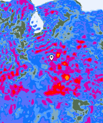 Niederschlagsprognose