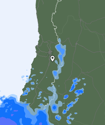 Валежи
