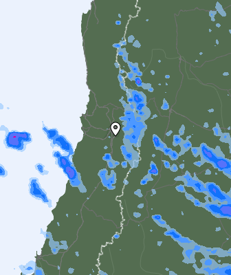 Валежи