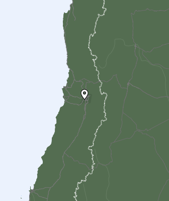 Niederschlagsprognose