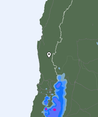 Niederschlagsprognose