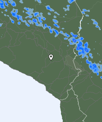 Валежи