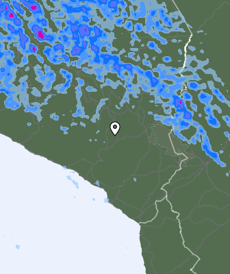 Валежи