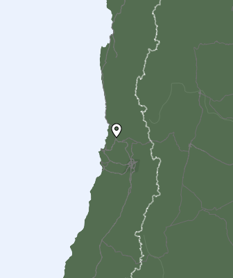 Niederschlagsprognose