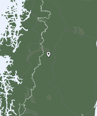 Nedbør
