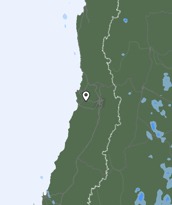 Валежи