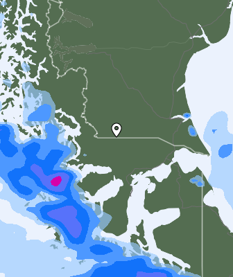 Precipitazioni