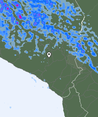 Валежи