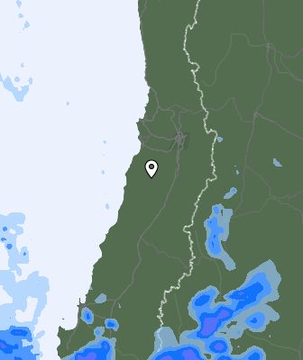 Валежи
