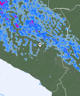 Валежи