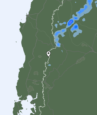 Валежи