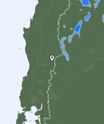 Валежи