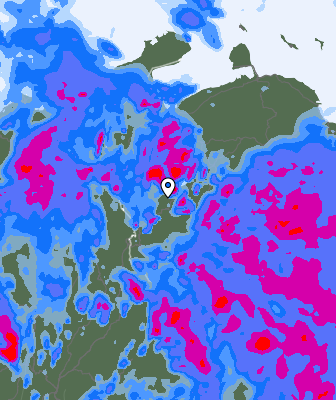 Niederschlagsprognose