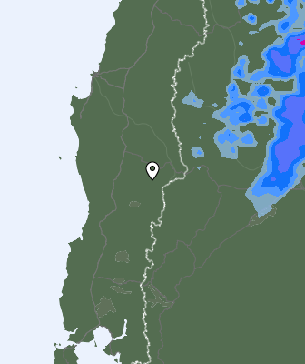 Валежи