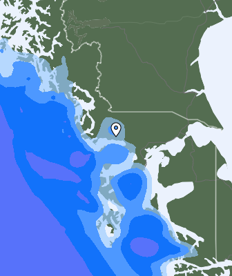 Валежи
