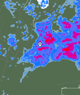 Валежи