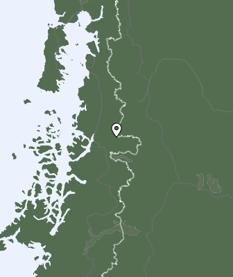 Niederschlagsprognose