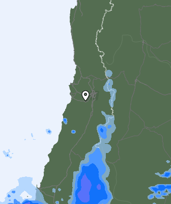 Валежи