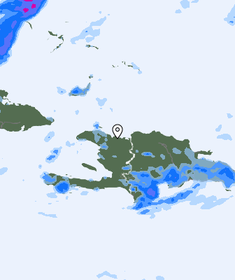 Niederschlagsprognose