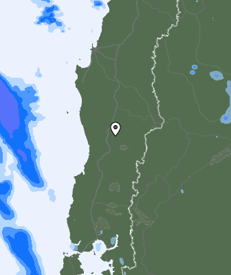 Валежи