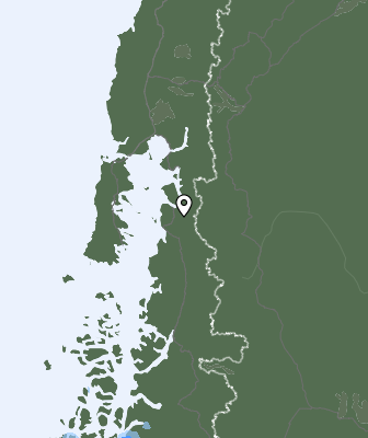 Niederschlagsprognose