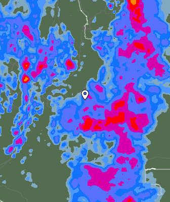 Валежи