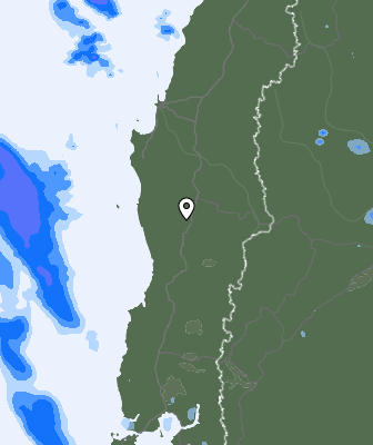 Валежи