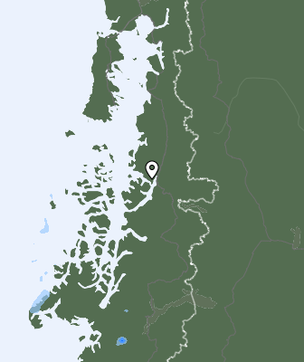 Niederschlagsprognose