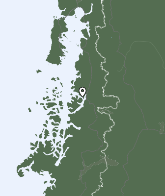 Niederschlagsprognose