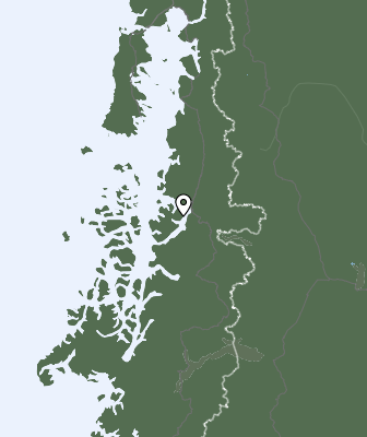 Niederschlagsprognose